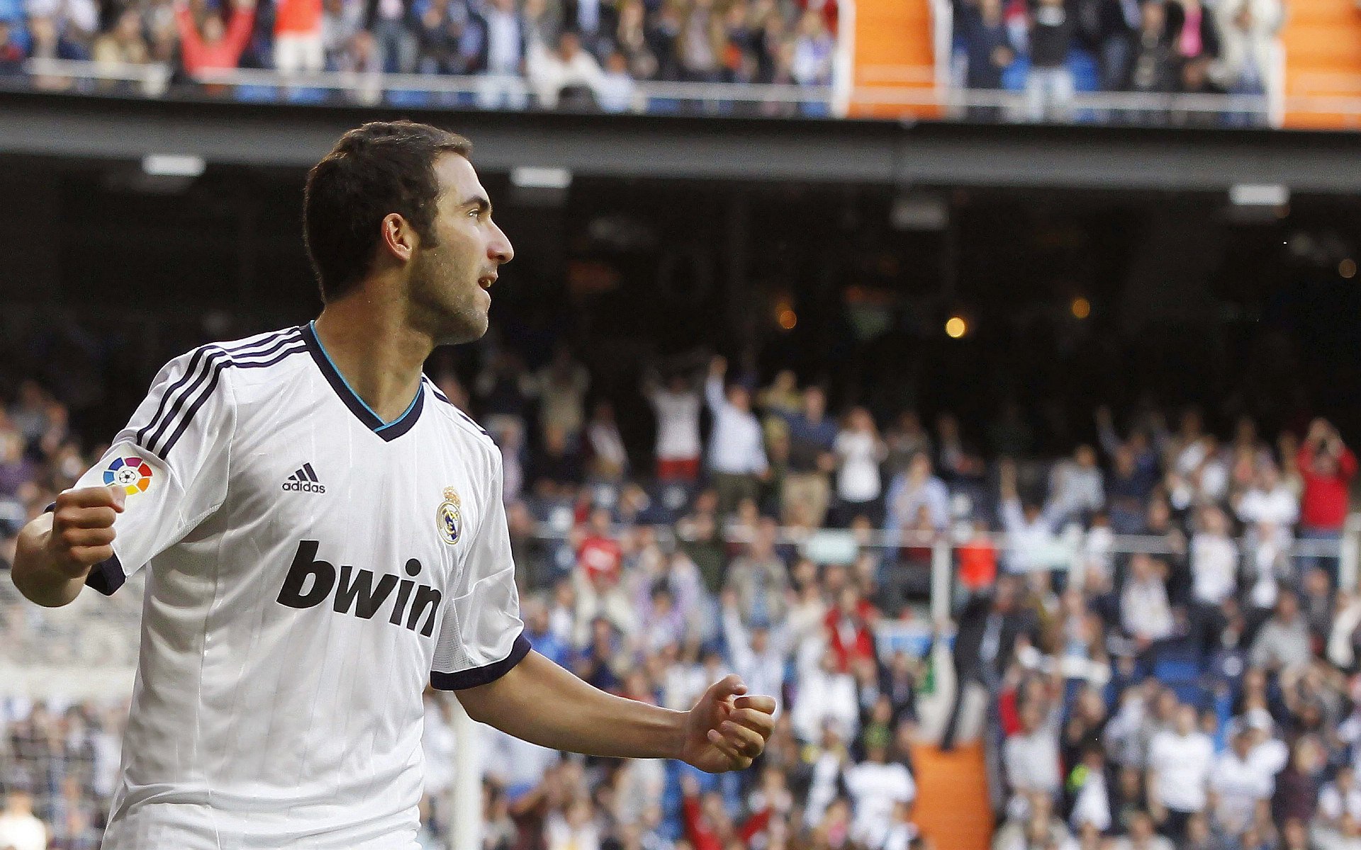 逆境求生:球队如何在危机中扭转局势,逆境求生的狮群